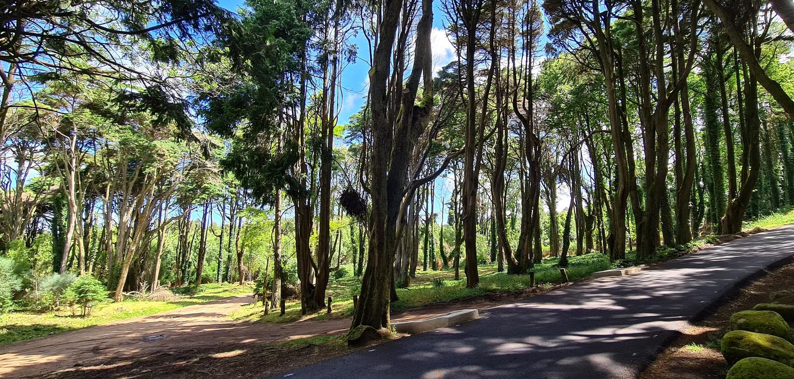 Senhora da Peninha Sintra